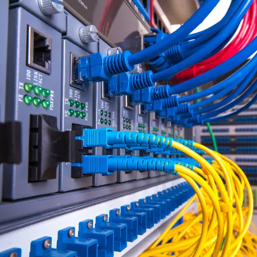 Hardwired networks